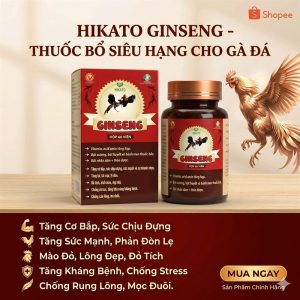 Hikato Ginseng ( nhân sâm cho gà đá) - Hộp 60 viên