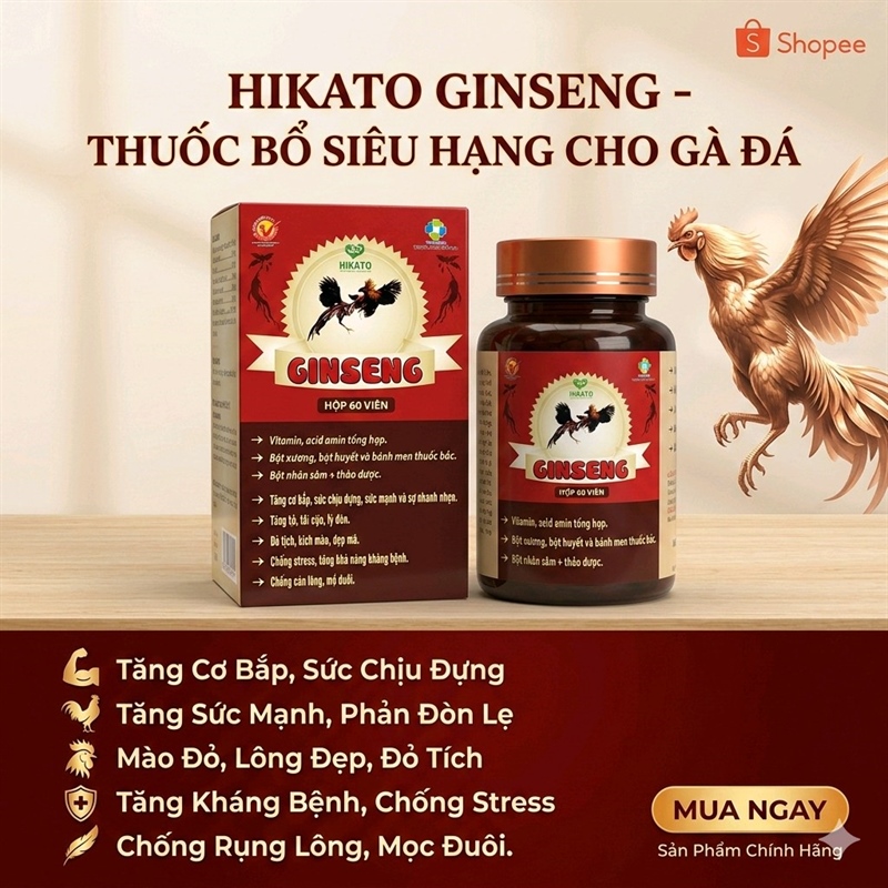 Hikato Ginseng ( nhân sâm cho gà đá) - Hộp 60 viên