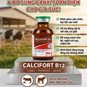 Sagophar Calcifort B12 20ml [4in1: Calci, Phospho, Mg, B12] - Chai
