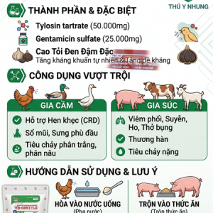 Alternative view of VB - GENTATYLO 1kg - Gói (10in1)