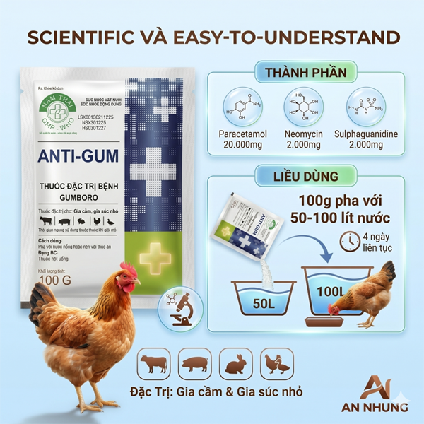 NThái Anti Gum-Para 20% + Neomycin - Bịch 50 gói - Ảnh 5