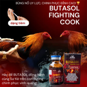 PROVET BUTASOL (Chiến Kê) 20ml - bổ tiêm cao cấp - lọ