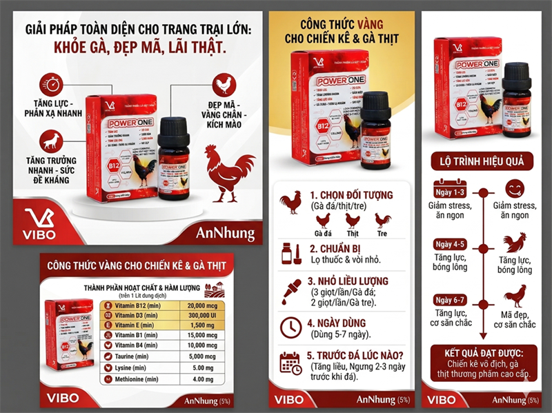 VB Power one 10ml - Tăng lực, Tăng sức bền, nhanh nhẹn, phạn xạ nhanh, đỏ tích, kích mào, vàng chân. mã đẹp - Hộp - Ảnh 4