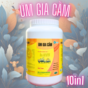 GOOVET ÚM GIA CẦM 1kg - Lon 1kg