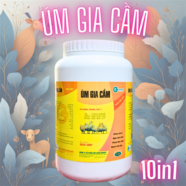 GOOVET ÚM GIA CẦM 1kg - Lon 1kg