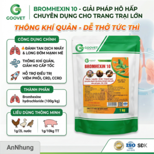 GOOVET BROMHEXIN 10 - 1kg - Gói 10in1