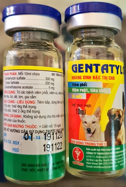 Minh Huy Genta tylo (chó mèo) 10ml - Hộp 10 lọ - Ảnh 2