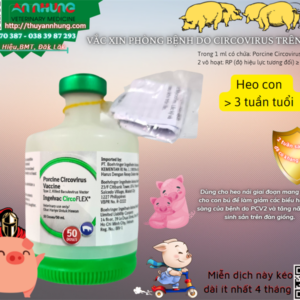Vaccine Boehringer Circo - 10 liều - Lọ 10 liều