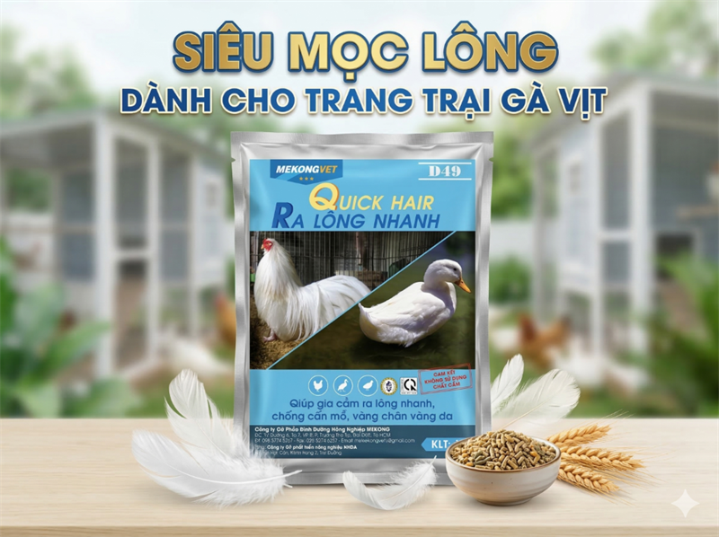 MEKONG D49 - QUICK HAIR - RA LÔNG NHANH 1kg - Gói 1Kg - Ảnh 5