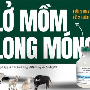VACCINE NAVETCO AFTOVAX - 25 Liều - Trâu, Bò, Dê, Cừu - Lọ 25 liều
