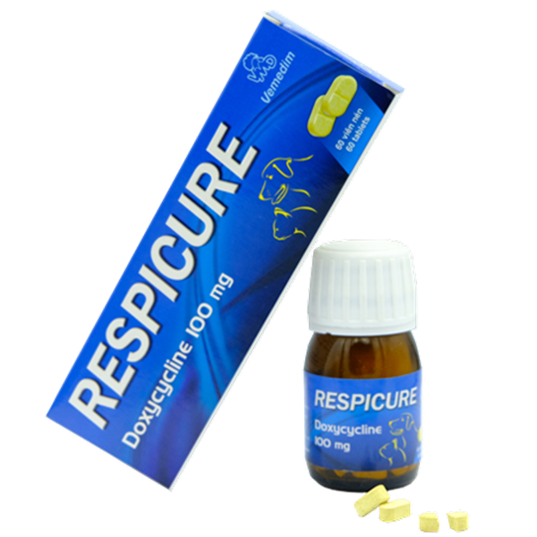 VMD Respicure 100( trị nhiễm khuẩn đường hô hấp trên chó, mèo) 60viên/hộp - Hộp