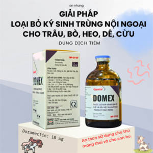 Á Châu DOMEX - Lọ 100ml