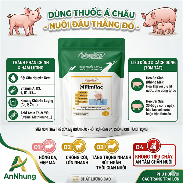 Á CHÂU REMILK = MILKNILAC - Thùng 20kg - Ảnh 5