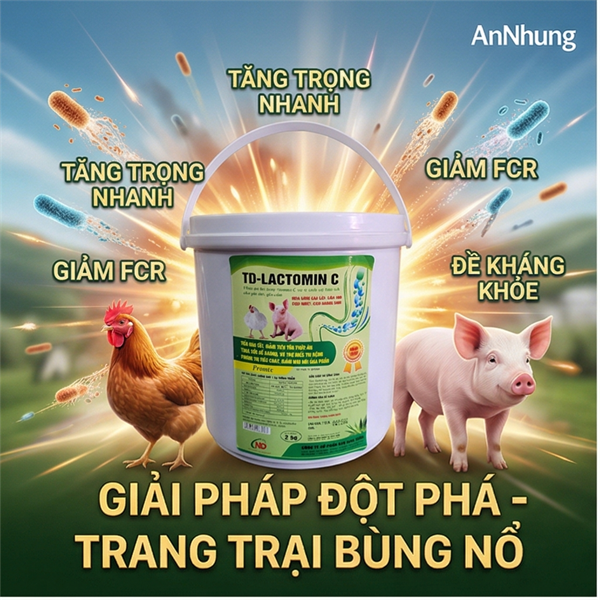 ND Lactomin C 100gr - Gói 100gr - Ảnh 3
