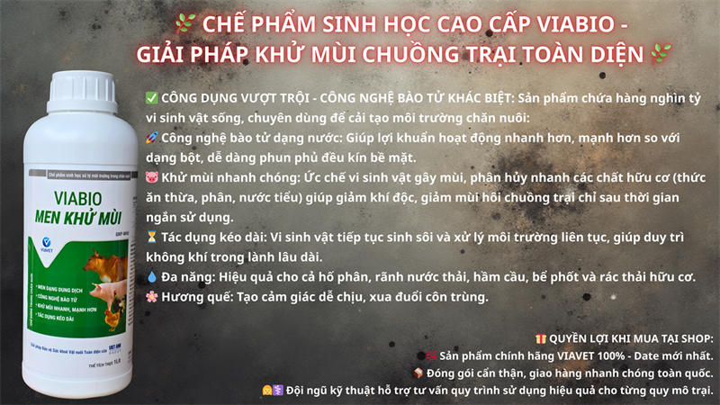 VIABIO - Men Khử Mùi 1 lít - Chai - Ảnh 4