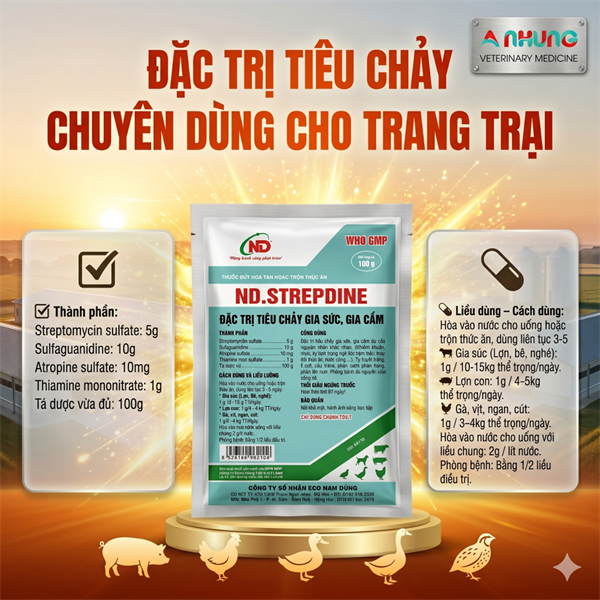 ND STREPDINE - Đặc trị tiêu chảy 100gr - Gói - Ảnh 5