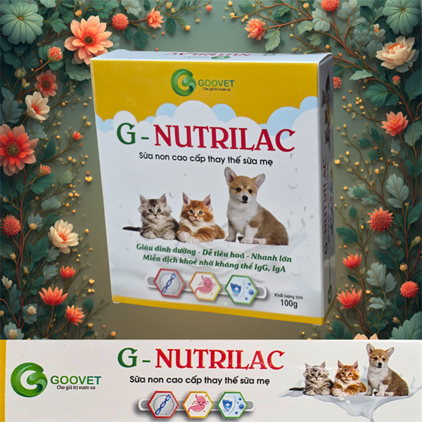 Goovet G Nutrilac Pet milk - Sữa thay thế dành chó mèo 100gr - Hộp - Ảnh 5