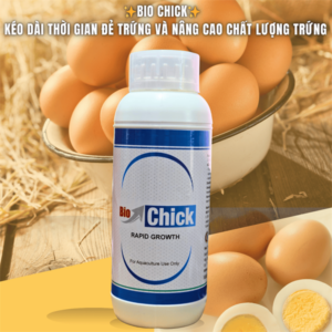 BIO CHICK 1 lít - kéo dài thời gian đẻ trứng và nâng cao chất lượng trứng cho gia cầm - Chai