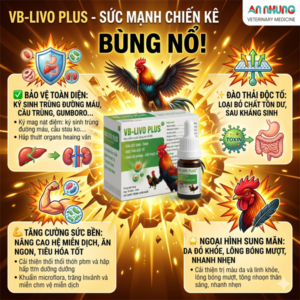 VB Livo Plus 10ml - Giải độc gan thận, phục hồi sau trận - Chiến Kê - Hộp 10 lọ