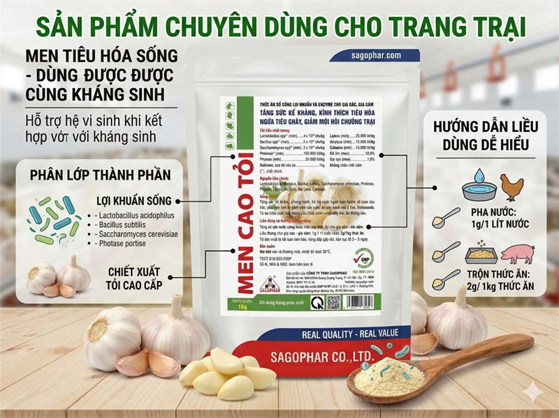 SAGOPHAR - MEN CAO TỎI -1kg (10in1) - Gói - Ảnh 4