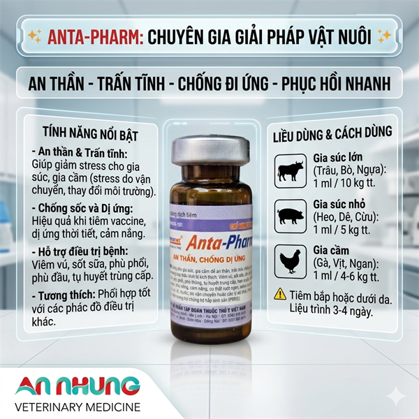 Drich Anta Pham 10ml - Lọ - Ảnh 5