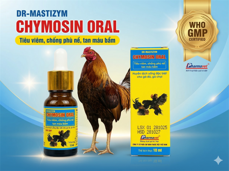 Drich Chymosin Oral (gà đá) 10ml - TIÊU VIÊM, CHỐNG PHÙ NỀ, TAN MÁU BẦM - Lọ (lốc 12)