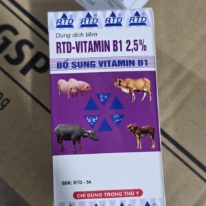 RTD Vitamin B1 100ml - Chai 100 ml