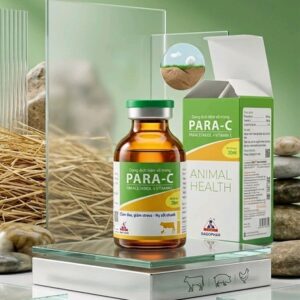 Sagophar Para C 20ml - Hộp 10 lọ