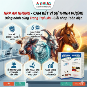 BIO ALBEN - Viên 150kg - Tẩy giun sán - Hộp 50 viên