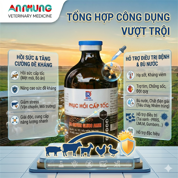 DRICH - PHỤC HỒI CẤP TỐC 100ml - Cafein Gluco Amin - Lọ - Ảnh 4