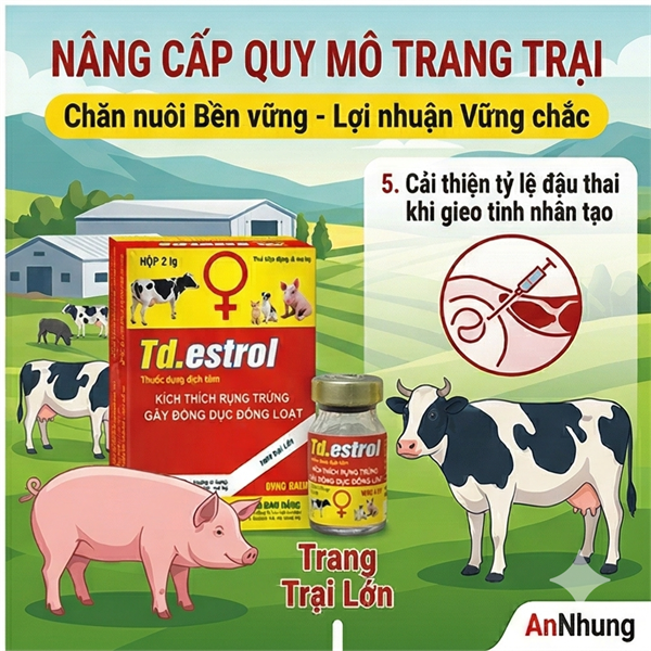 ND ESTROL 6ml - Cloprostenol - Hộp 2 lọ - Ảnh 3