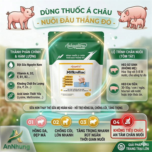 Á CHÂU REMILK = MILKNILAC - Thùng 20kg