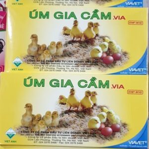 Alternative view of Viavet - Úm gia cầm 10gr - Hộp 50 gói