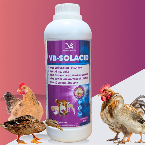 VB SOLACID 1 Lít - Acid Amin, Amino - thùng 15chai - Ảnh 2
