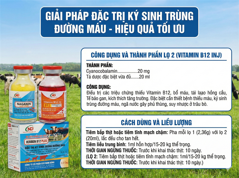 ND Veriben B12 Plus 20ml - hộp - Ảnh 4
