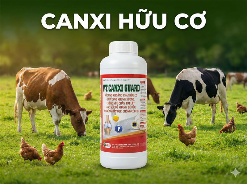 LIKE CANXI GUARD 1 lít - Chai
