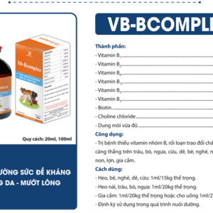 Alternative view of VB Bcomplex - Lọ 20ml