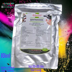 Á CHÂU GENTADOXIN - viêm ruột, viêm phổi, sưng phù đầu - 1Kg (10in1)