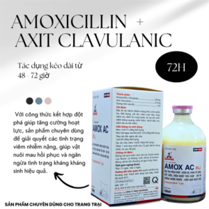 SAGOPHAR AMOX AC (Axit clavulanic - Chống lờn thuốc) - TRẮNG (N) - CHAI 100ML