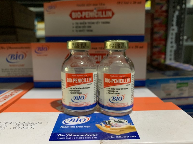 Bio Penicillin (4G) 20ml - Lọ - Ảnh 3