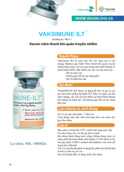 VACCINE TIGERVET VAKSIMUNE- ILT - Lọ 1.000 liều - Ảnh 3
