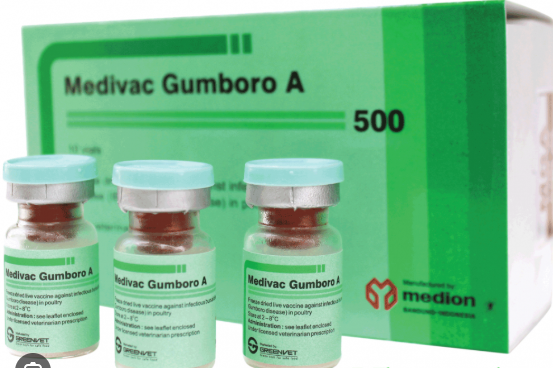 Vaccine TYX GUMBORO 1000 liều - Lọ - Ảnh 2