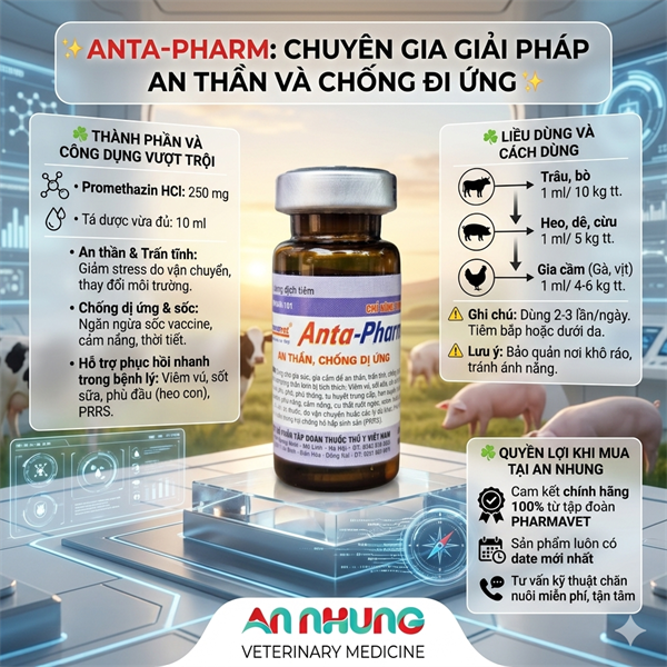Drich Anta Pham 10ml - Lọ - Ảnh 4