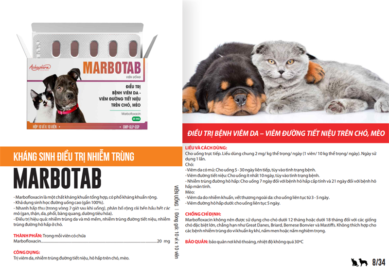 Á Châu Marbo Tab (Viêm da, viêm đường tiết niệu Pet ) - Hộp 100 viên - Ảnh 2
