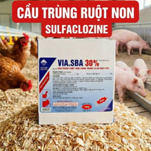 Via SBA 30% 100gr - Sulfaclozine - Gói 100gr