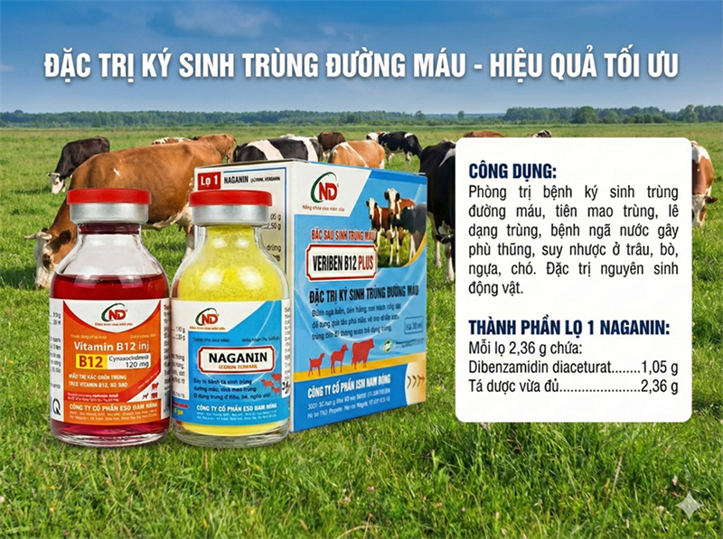 ND Veriben B12 Plus 20ml - hộp - Ảnh 5