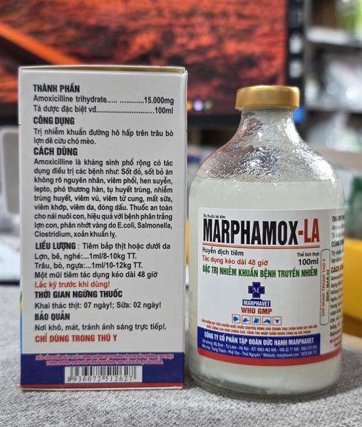 MARPHAMOX LA 100ml - Lọ 100ml - Ảnh 2