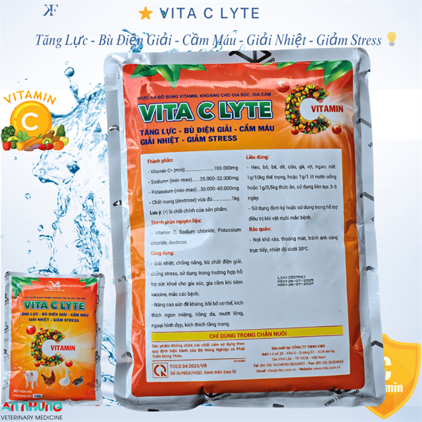 VB Vita C Lyte - Vitamin C 10% - Gói 100g - Ảnh 3