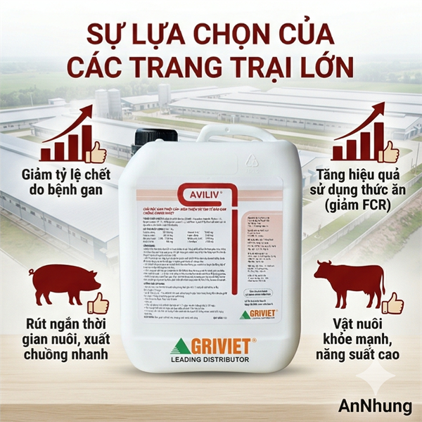 AGRI - AVILIV - 5 LÍT - CAN 5 LÍT - Ảnh 4