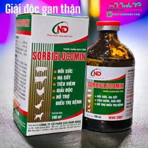 ND SORBI GLUCO 100ml - Giải độc, hồi sức, hạ sốt, tiêu viêm - Lọ